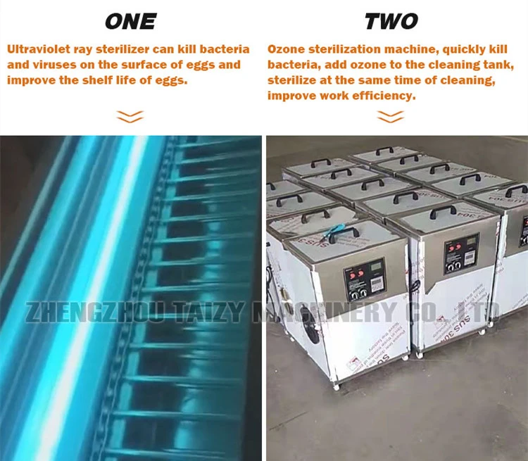 egg washing machine egg washing machine