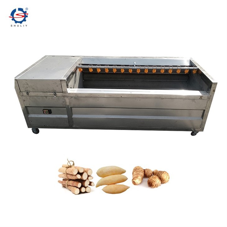 carrot washer machine
