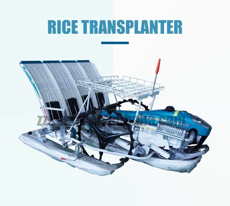 Paddy Planter Machine