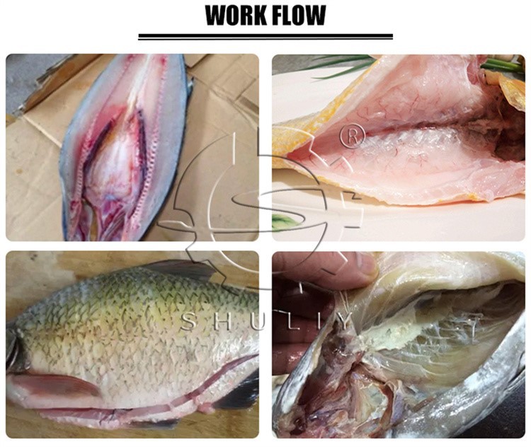 automatic fish gutting machine automatic fish gutting machine